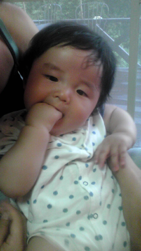 a0168134_273744.jpg