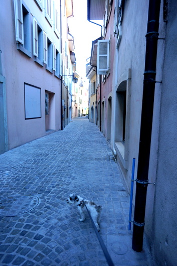 c0201334_8582613.jpg
