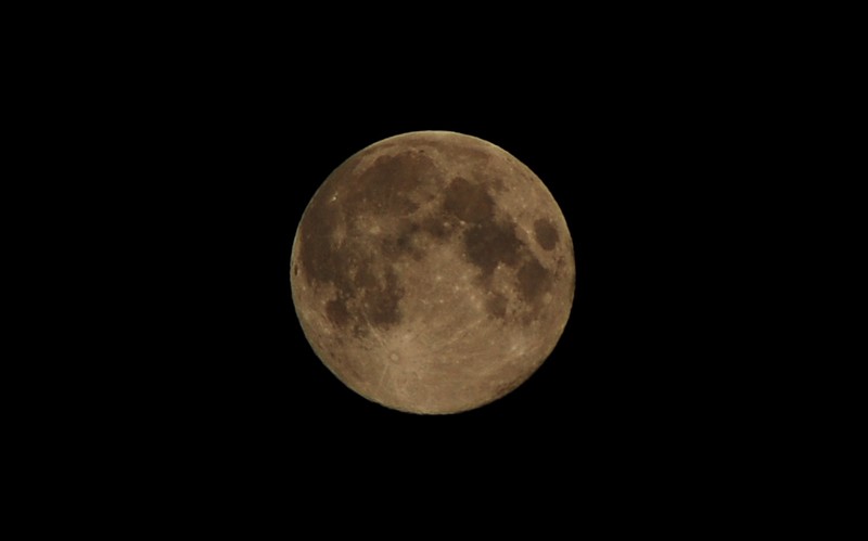 d0228234_836356.jpg