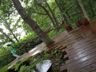 b0260738_00506.jpg