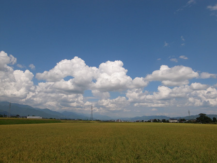 a0014840_1543367.jpg