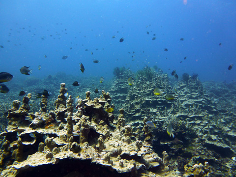 f0014842_1992552.jpg