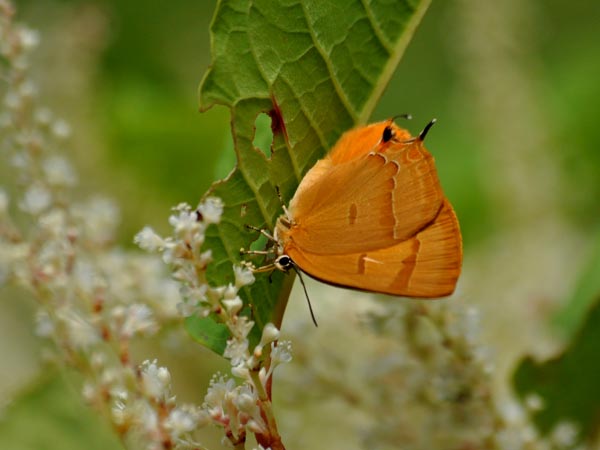 c0045352_146147.jpg