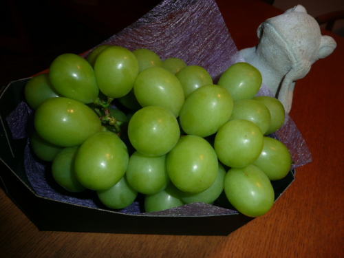 e0094656_20122480.jpg