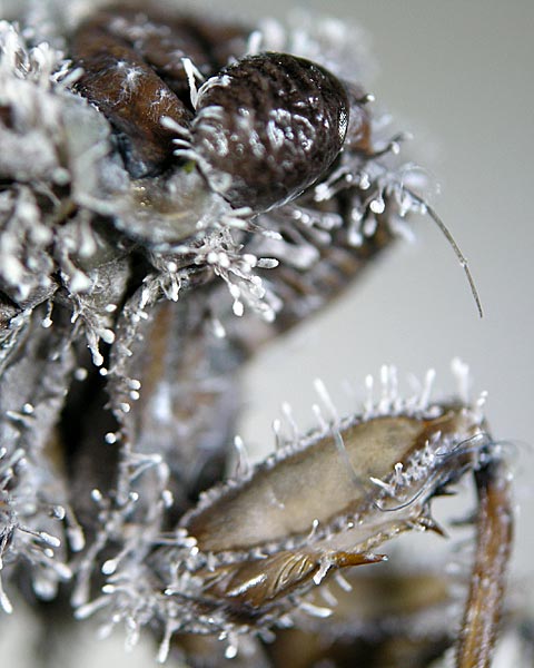 e0035757_1833396.jpg