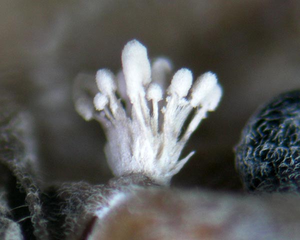 e0035757_186364.jpg