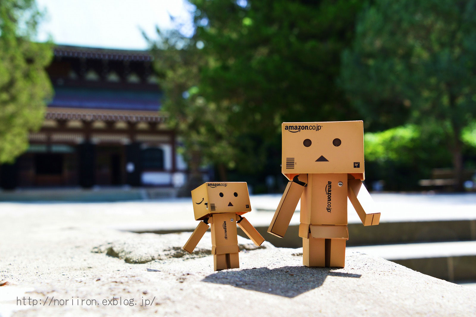 ダンボー 鎌倉 Nori日記