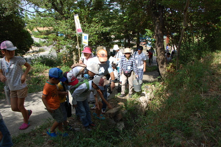 第6回「カニカニウォッチング in せんなん里海公園」_c0108460_144556.jpg