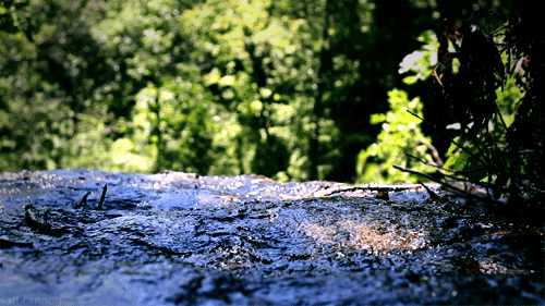 c0119160_21333987.gif