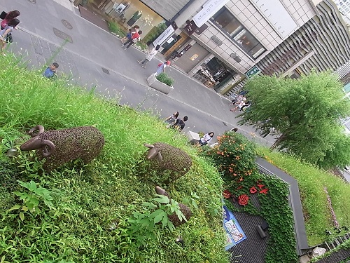 f0002265_85671.jpg