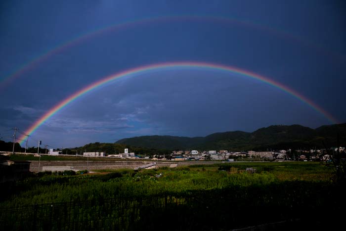 雨上がり_c0153969_922480.jpg