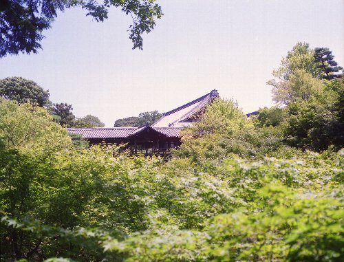 c0124773_11463577.jpg