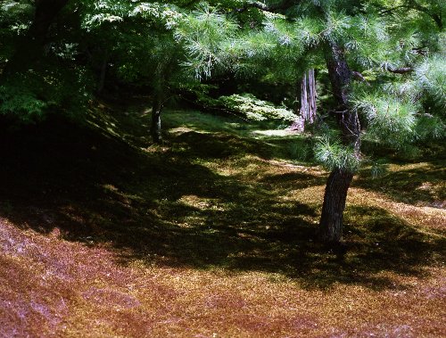 c0124773_11471237.jpg