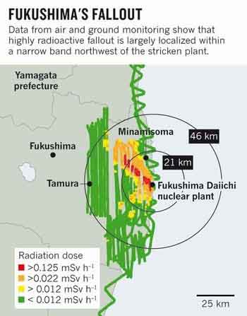 原子力発電の推進の根拠は全て嘘である_c0139575_1923992.jpg