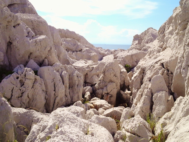 e0126576_17522012.jpg
