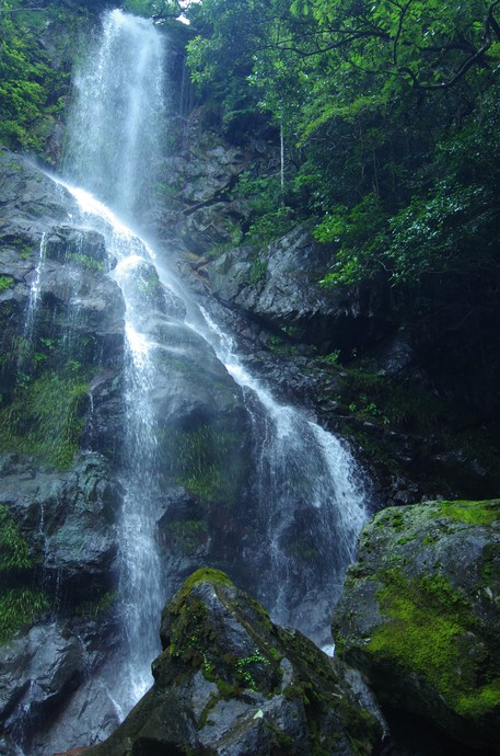 e0152576_2034240.jpg