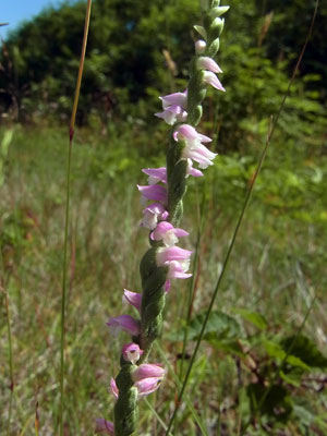 f0083977_8444736.jpg