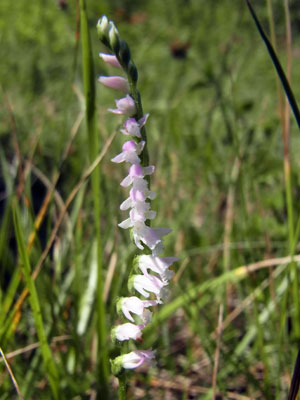 f0083977_8451784.jpg
