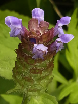 f0083977_8454379.jpg