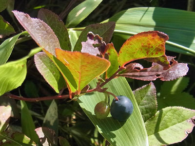 f0083977_8485264.jpg