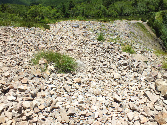 a0040879_036168.jpg
