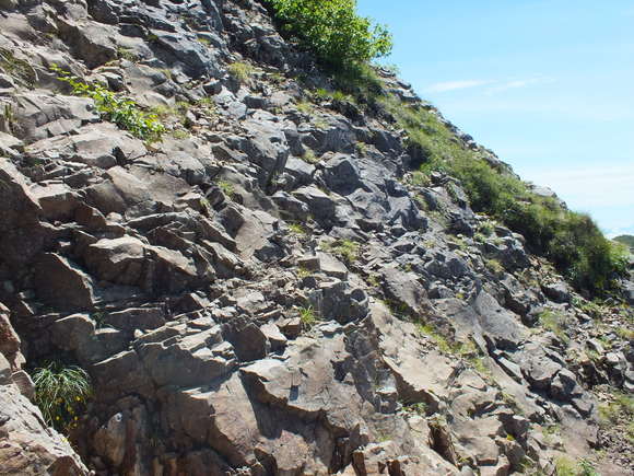 a0040879_0501453.jpg