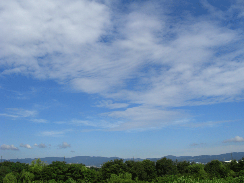 c0095679_14254852.gif