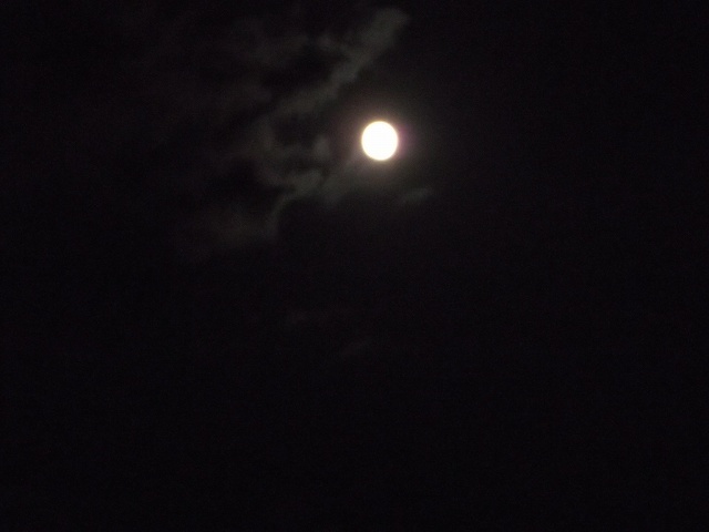 c0212083_019443.jpg