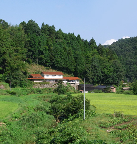 島根半島へ凸暑の旅　3日目午前中（宍道湖~島根半島）_b0083985_11392513.jpg