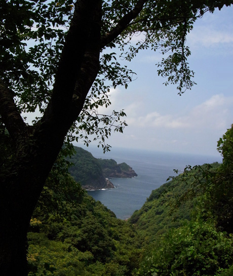 b0083985_21264814.jpg