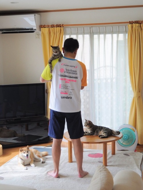 甘えん坊女王様_a0126590_12161672.jpg