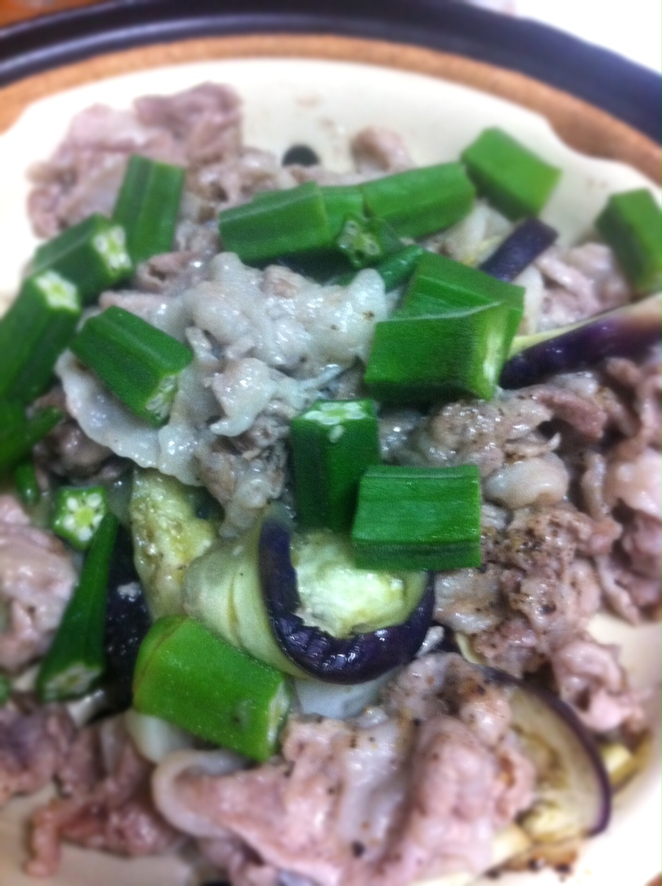 豚肉とナス・オクラの蒸しもの_d0122797_21282674.jpg