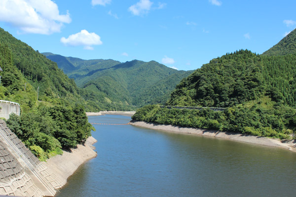 d0229501_2153333.jpg