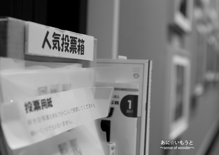a0112402_9335223.jpg
