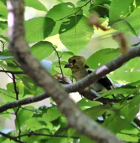 c0155902_2049107.jpg