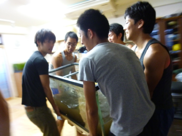 水槽移動!!みやとくんちゃんが遊びに来てくれました!_a0080406_12565456.jpg