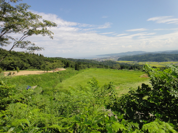 c0105306_1616767.jpg