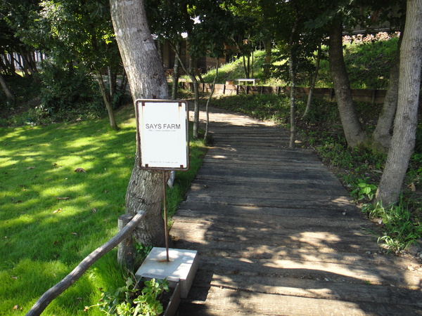 c0105306_162131100.jpg