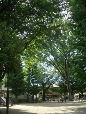 竹内浩三さんをめぐる旅@東京 その3★高円寺_f0032106_940463.jpg