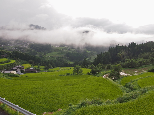 a0230008_67118.jpg