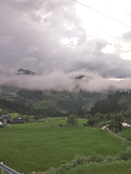 a0230008_67524.jpg
