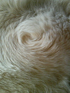 b0190908_1323182.jpg