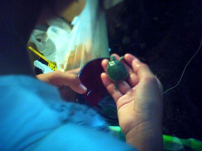 d0021510_8474268.jpg