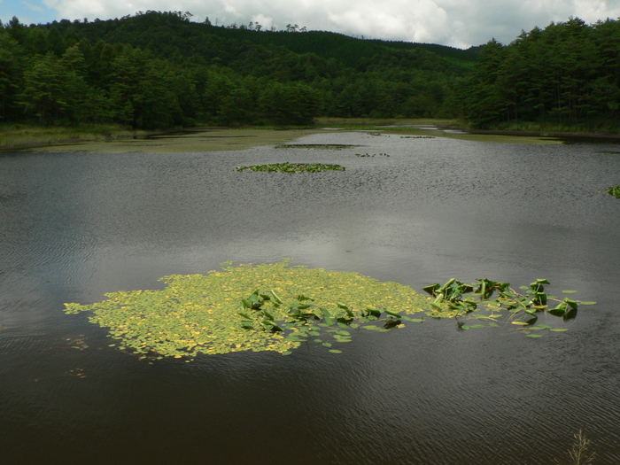 f0219710_1134974.jpg