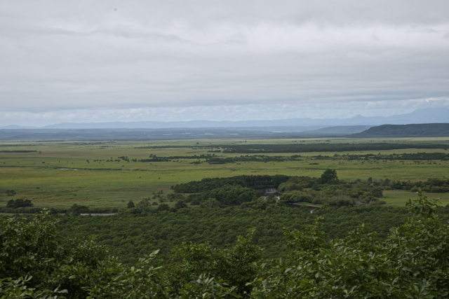 c0153411_21282524.jpg