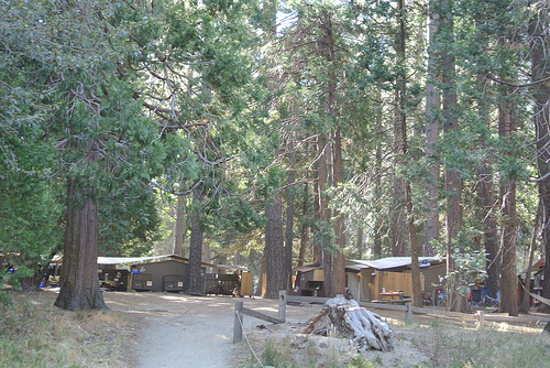 e0259713_1552092.jpg