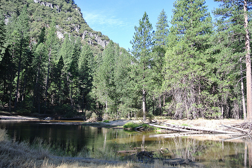 e0259713_1552671.jpg