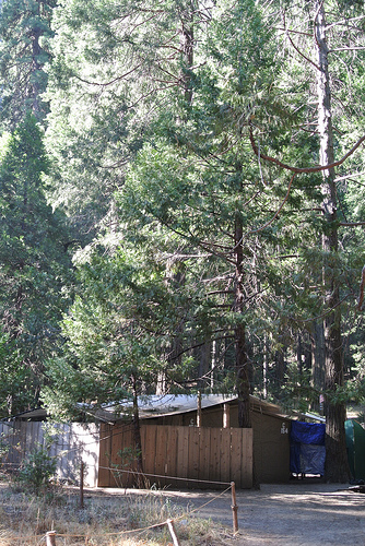 e0259713_1553355.jpg