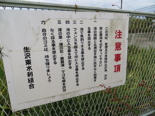 b0121015_11255476.jpg