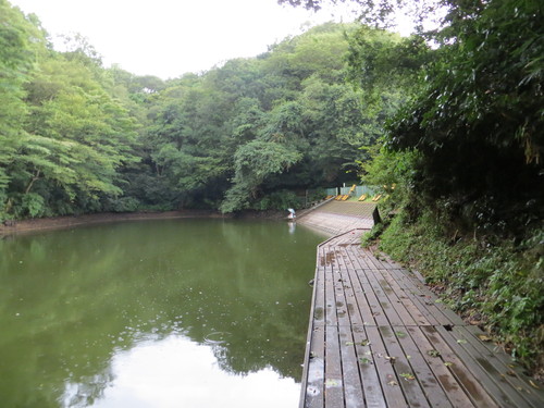 b0121015_20333451.jpg